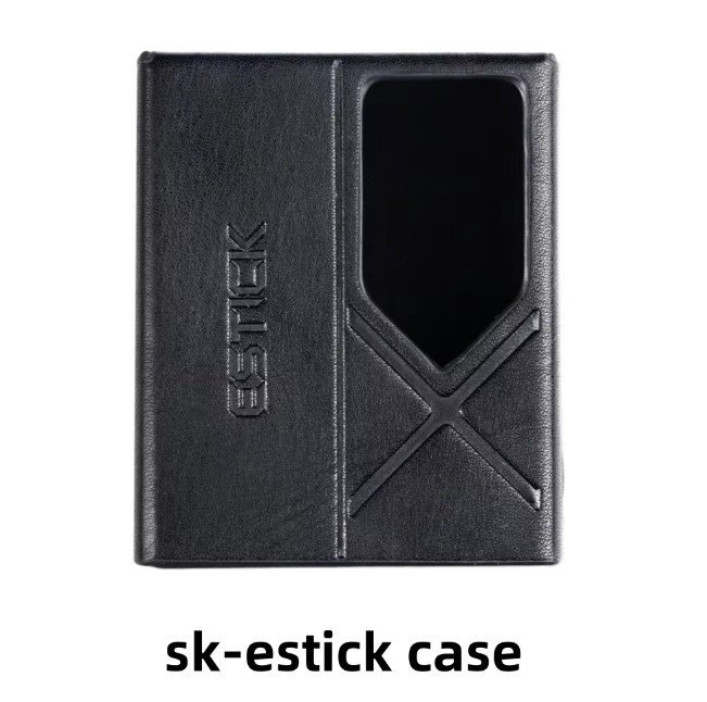 FiiO Estick Case